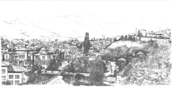 Travnik_M_Gerstenhofer.jpg (55669 bytes)